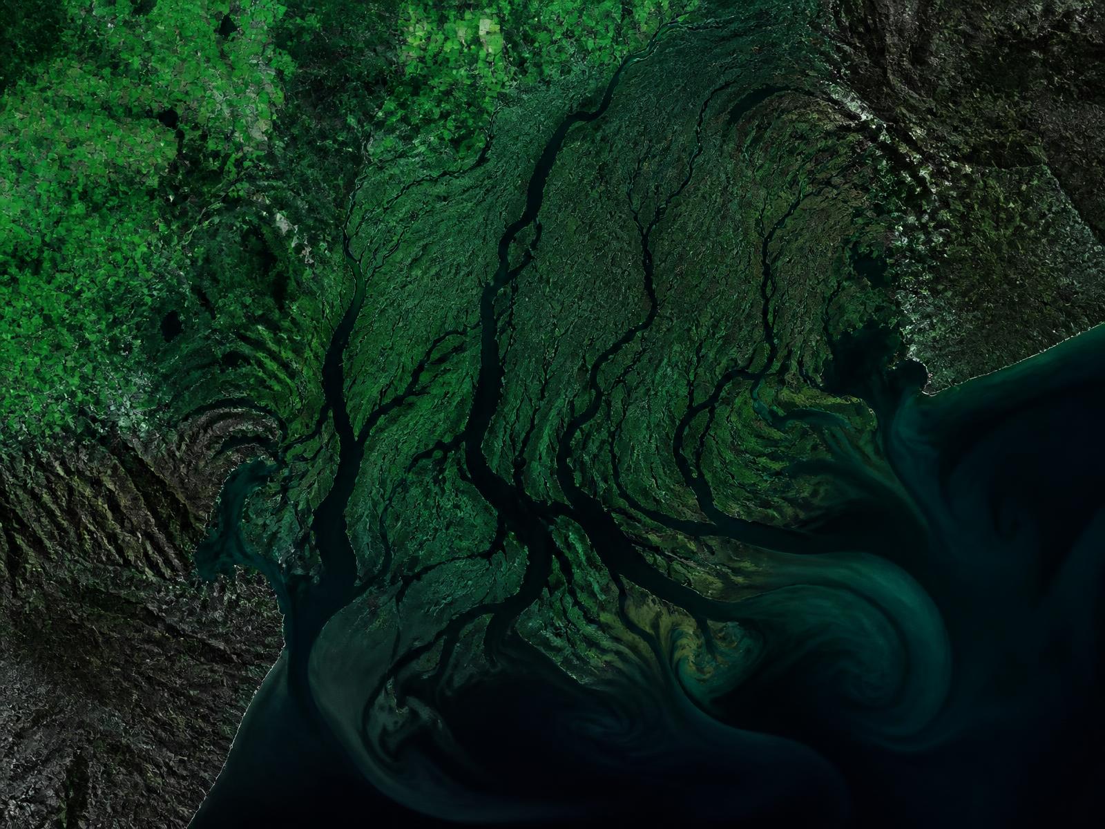 Imagem de satélite de um delta fluvial com uso e cobertura do solo